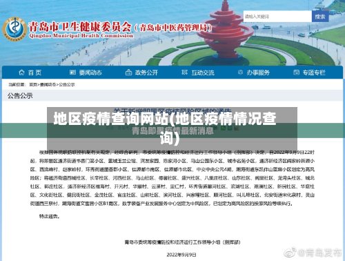 地区疫情查询网站(地区疫情情况查询)