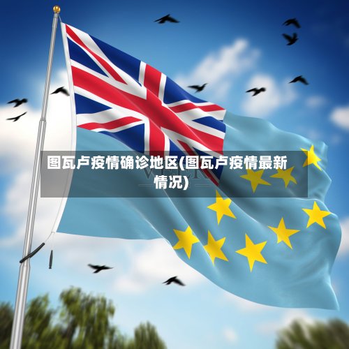 图瓦卢疫情确诊地区(图瓦卢疫情最新情况)-第2张图片