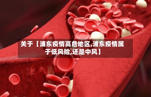 关于【浦东疫情高危地区,浦东疫情属于低风险,还是中风】-第2张图片