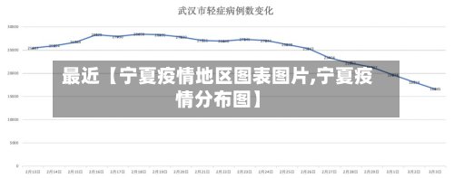 最近【宁夏疫情地区图表图片,宁夏疫情分布图】-第2张图片