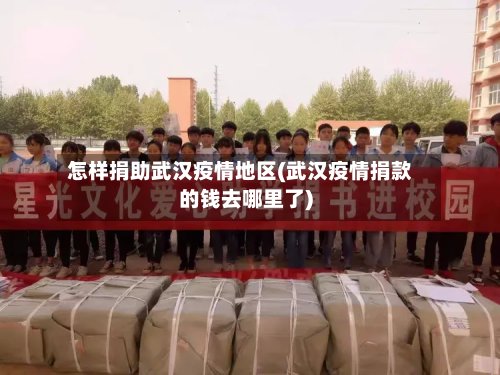 怎样捐助武汉疫情地区(武汉疫情捐款的钱去哪里了)-第3张图片