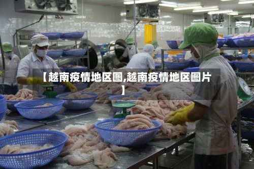 【越南疫情地区图,越南疫情地区图片】-第3张图片