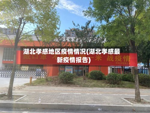 湖北孝感地区疫情情况(湖北孝感最新疫情报告)-第2张图片
