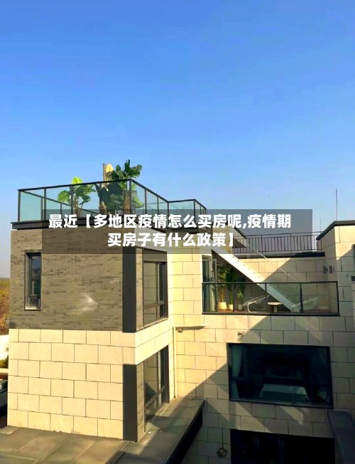 最近【多地区疫情怎么买房呢,疫情期买房子有什么政策】-第3张图片