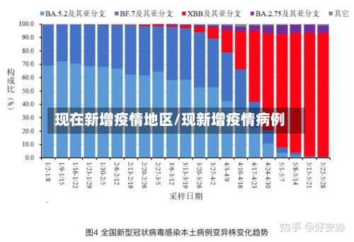现在新增疫情地区/现新增疫情病例-第3张图片