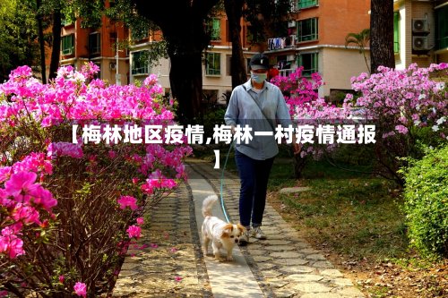 【梅林地区疫情,梅林一村疫情通报】