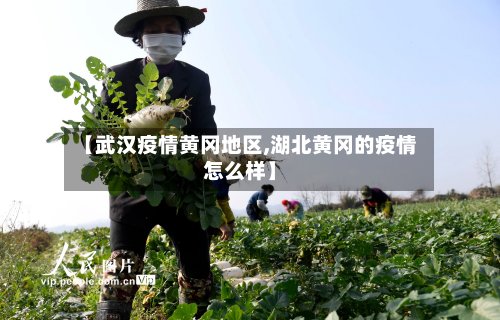 【武汉疫情黄冈地区,湖北黄冈的疫情怎么样】
