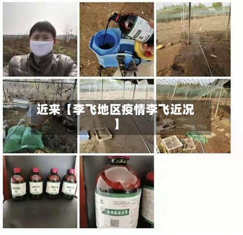 近来【李飞地区疫情李飞近况】