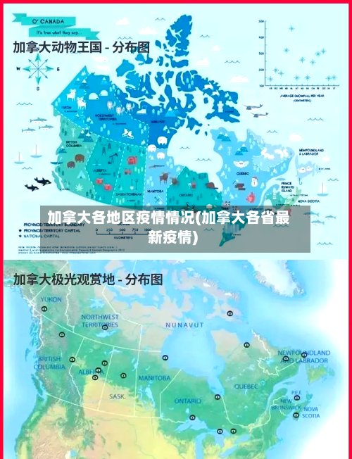 加拿大各地区疫情情况(加拿大各省最新疫情)-第2张图片