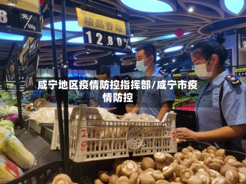 咸宁地区疫情防控指挥部/咸宁市疫情防控-第3张图片