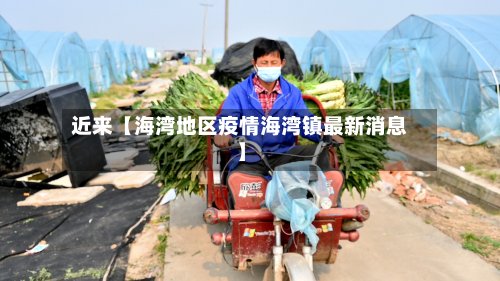 近来【海湾地区疫情海湾镇最新消息】