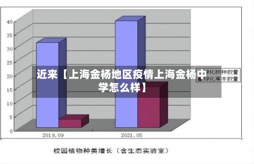 近来【上海金杨地区疫情上海金杨中学怎么样】-第2张图片