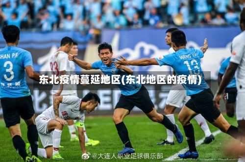 东北疫情蔓延地区(东北地区的疫情)