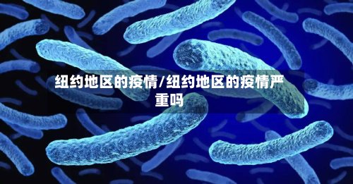纽约地区的疫情/纽约地区的疫情严重吗-第2张图片