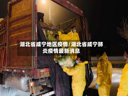 湖北省咸宁地区疫情/湖北省咸宁肺炎疫情最新消息-第3张图片