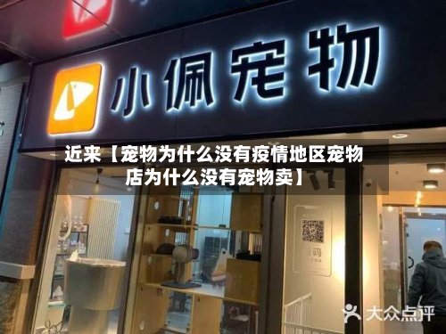 近来【宠物为什么没有疫情地区宠物店为什么没有宠物卖】-第2张图片