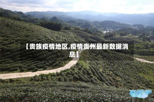 【贵族疫情地区,疫情贵州最新数据消息】-第2张图片