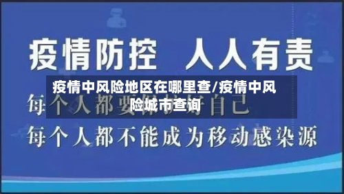 疫情中风险地区在哪里查/疫情中风险城市查询-第2张图片