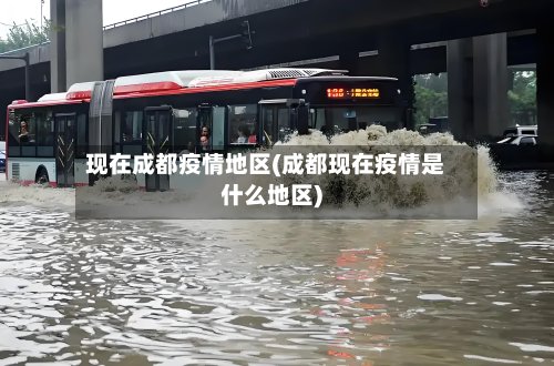 现在成都疫情地区(成都现在疫情是什么地区)-第3张图片