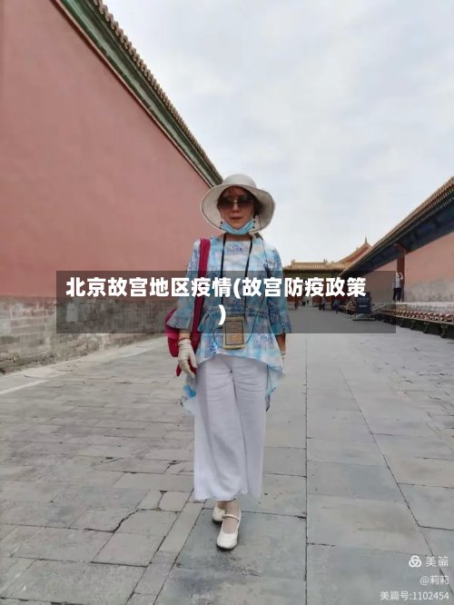 北京故宫地区疫情(故宫防疫政策)-第2张图片