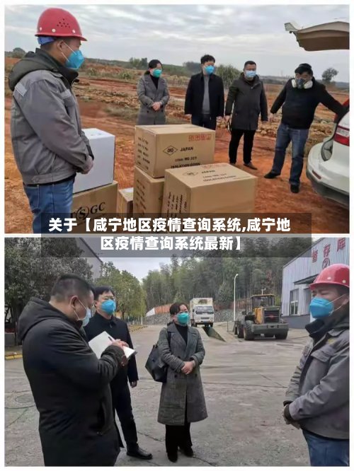 关于【咸宁地区疫情查询系统,咸宁地区疫情查询系统最新】