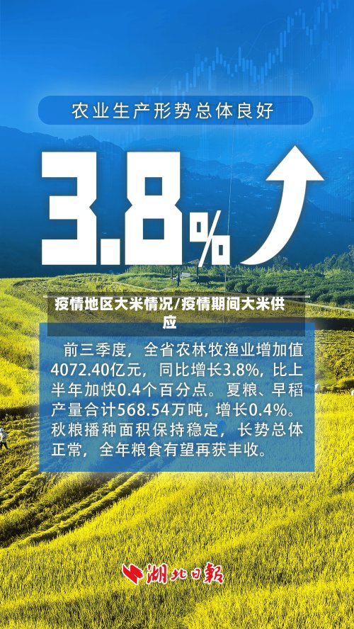 疫情地区大米情况/疫情期间大米供应-第3张图片