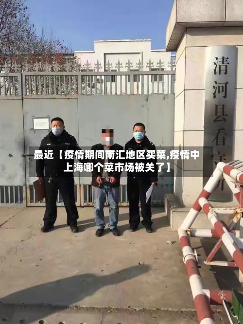 最近【疫情期间南汇地区买菜,疫情中上海哪个菜市场被关了】-第2张图片