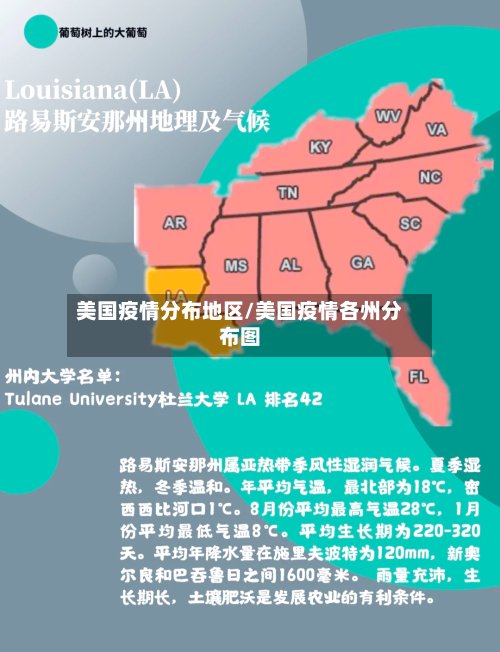 美国疫情分布地区/美国疫情各州分布图