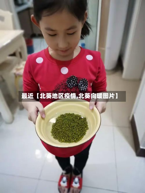 最近【北葵地区疫情,北葵向暖图片】