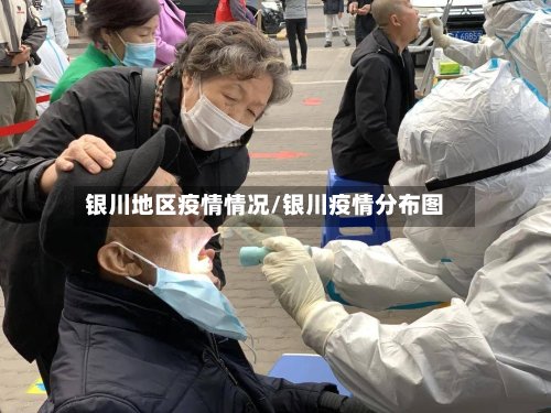 银川地区疫情情况/银川疫情分布图