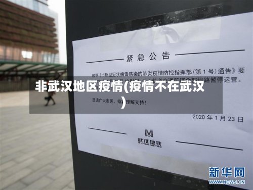 非武汉地区疫情(疫情不在武汉)
