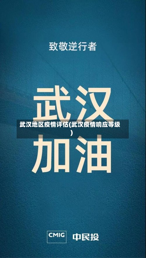 武汉地区疫情评估(武汉疫情响应等级)