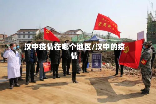 汉中疫情在哪个地区/汉中的疫情-第2张图片