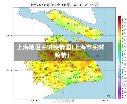 上海地区实时疫情图(上海市实时疫情)