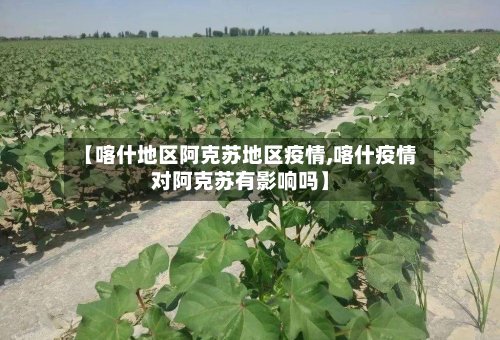 【喀什地区阿克苏地区疫情,喀什疫情对阿克苏有影响吗】