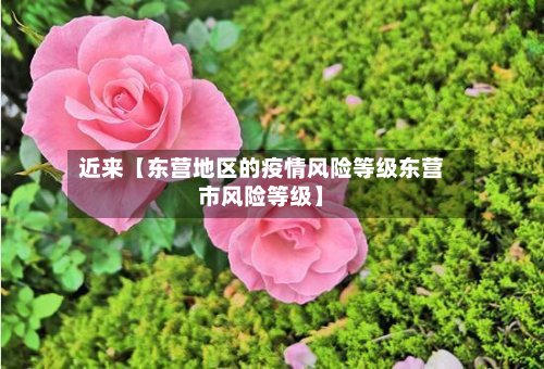 近来【东营地区的疫情风险等级东营市风险等级】-第2张图片