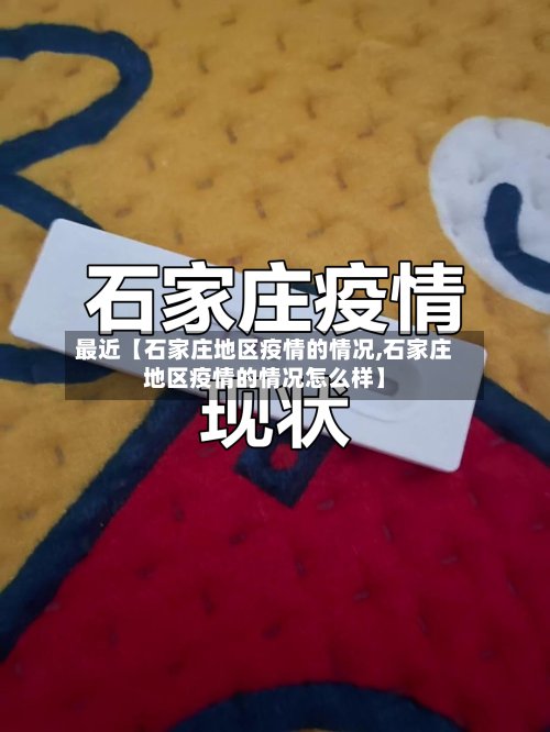 最近【石家庄地区疫情的情况,石家庄地区疫情的情况怎么样】-第3张图片