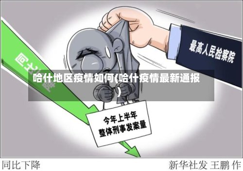哈什地区疫情如何(哈什疫情最新通报)