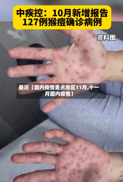 最近【国内疫情重点地区11月,十一月国内疫情】-第3张图片