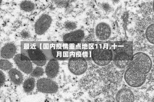 最近【国内疫情重点地区11月,十一月国内疫情】