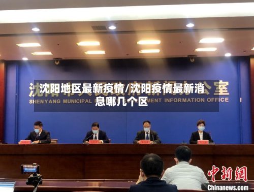 沈阳地区最新疫情/沈阳疫情最新消息哪几个区-第3张图片