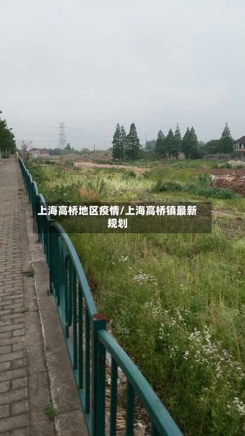 上海高桥地区疫情/上海高桥镇最新规划-第3张图片