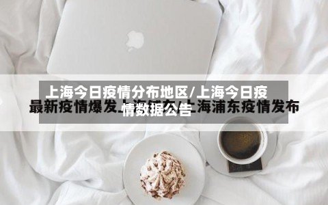 上海今日疫情分布地区/上海今日疫情数据公告-第2张图片