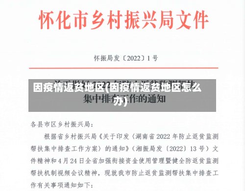 因疫情返贫地区(因疫情返贫地区怎么办)-第2张图片