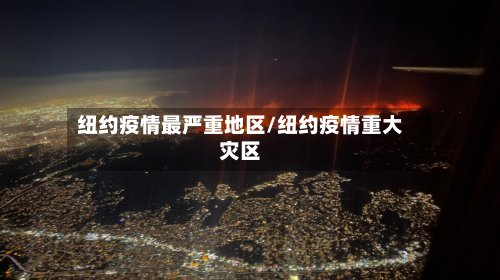 纽约疫情最严重地区/纽约疫情重大灾区-第3张图片