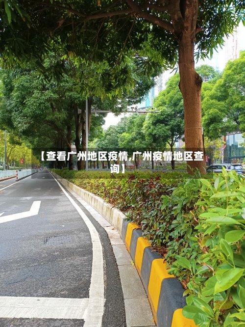 【查看广州地区疫情,广州疫情地区查询】