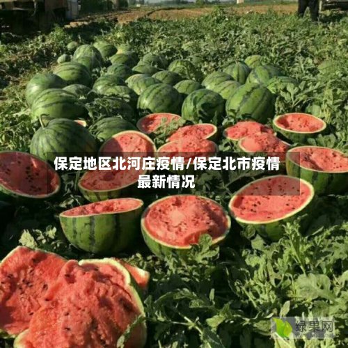 保定地区北河庄疫情/保定北市疫情最新情况