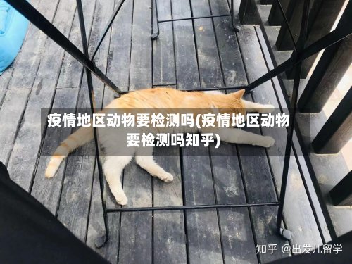 疫情地区动物要检测吗(疫情地区动物要检测吗知乎)