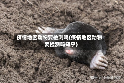 疫情地区动物要检测吗(疫情地区动物要检测吗知乎)-第2张图片