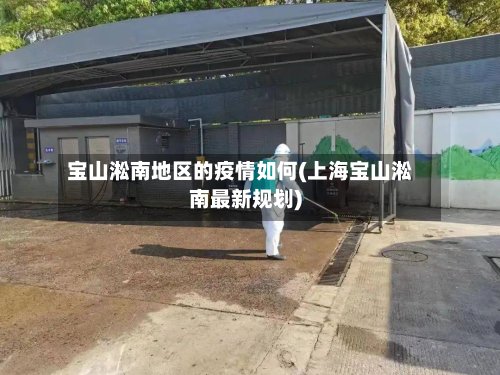 宝山淞南地区的疫情如何(上海宝山淞南最新规划)-第2张图片